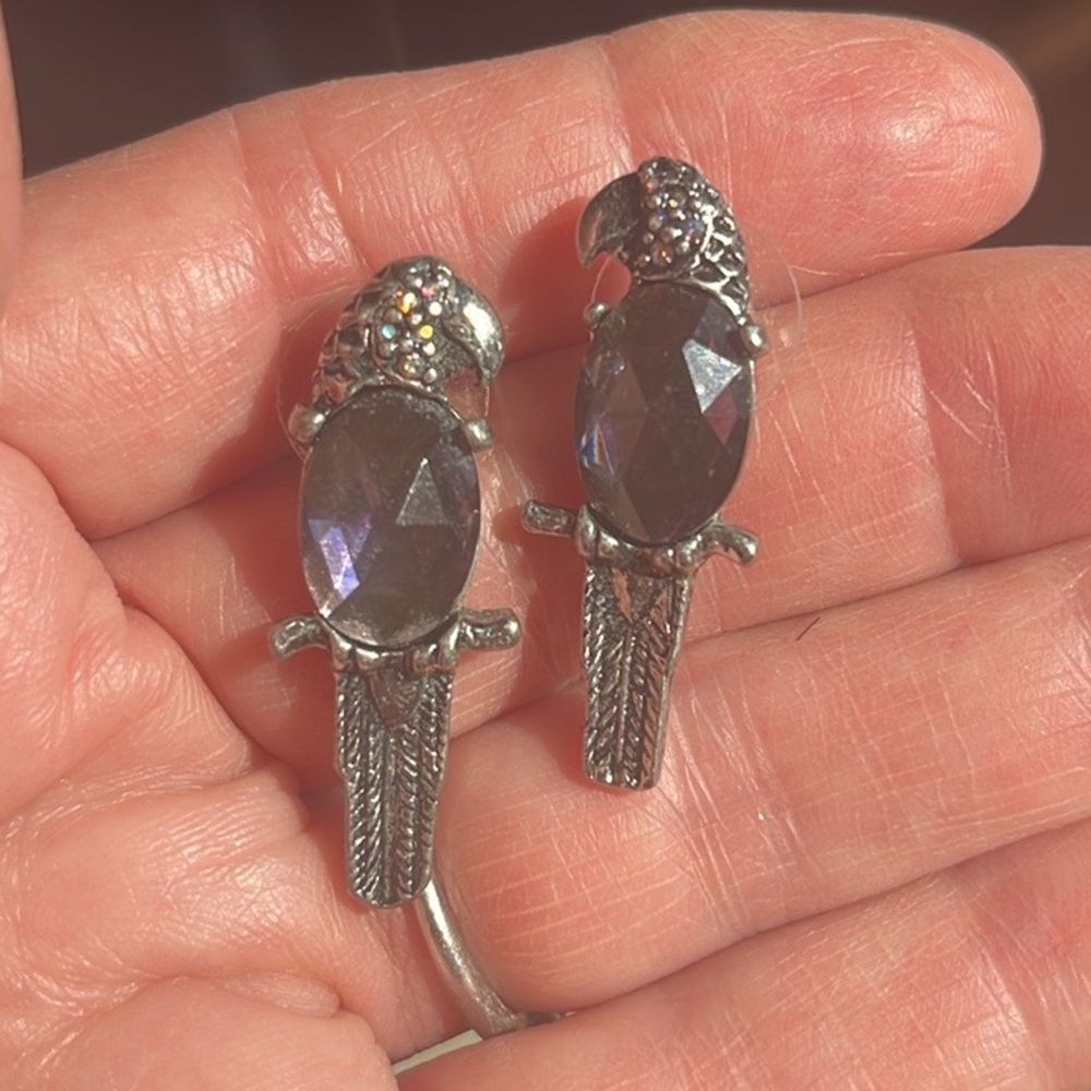 🦜 Chico’s Silvertone Rhinestone Parrot Disc Back Stud Earrings Amethyst Look